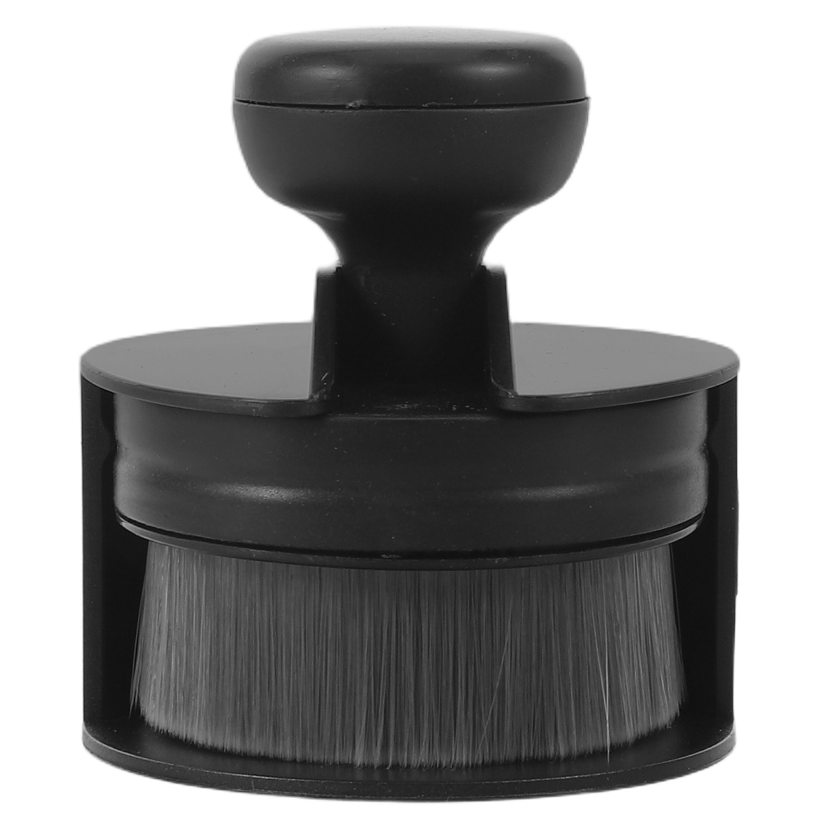 Audio-Reinigungsbürste für Sch – Vinyl Record Cleaner Bewertung und Preis