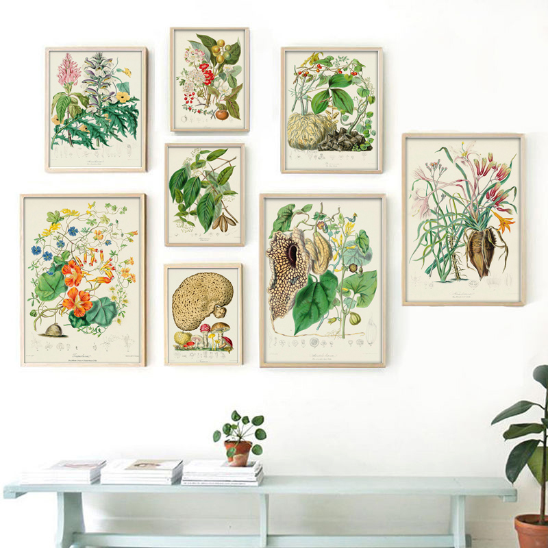 Botanische Sammlung Vintage Po – Vintage Collectible Posters Bewertung und Preis